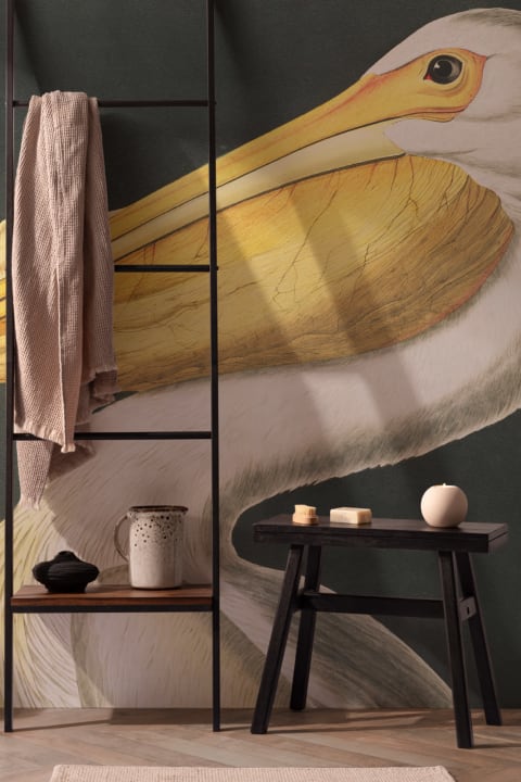 White Pelican Wallpaper Mural