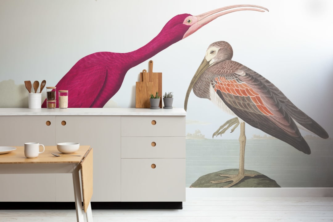 Scarlet Ibis Wallpaper Mural