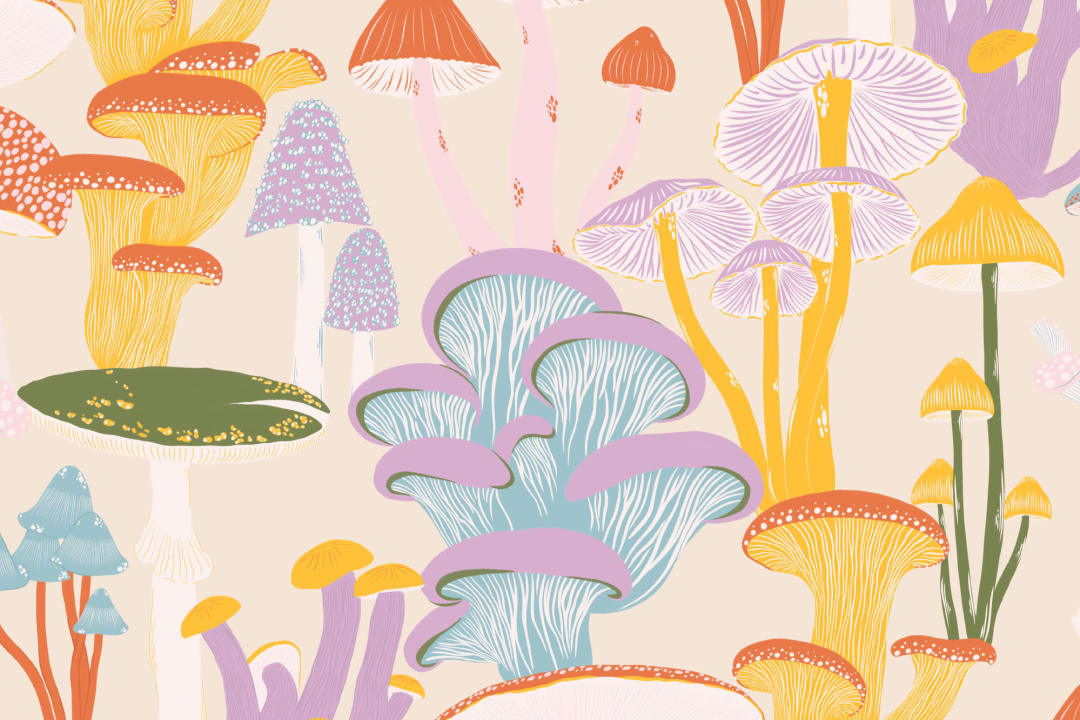 Bright Multicolor Hand Drawn Mushrooms on Beige Wallpaper