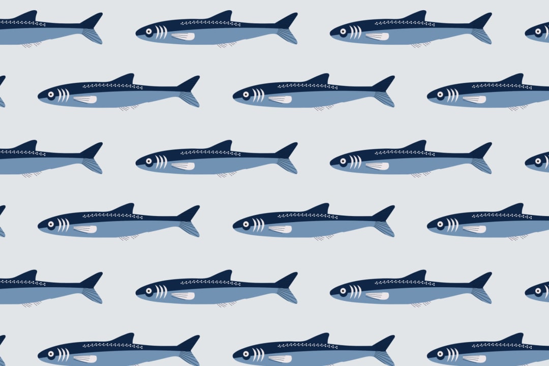 Fish Pattern Seaside Repeat Pattern Wallpaper