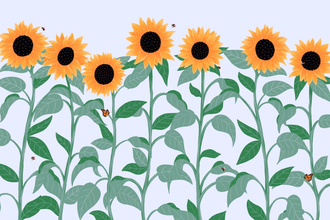 Sunflower & Butterfly Wallpaper Mural