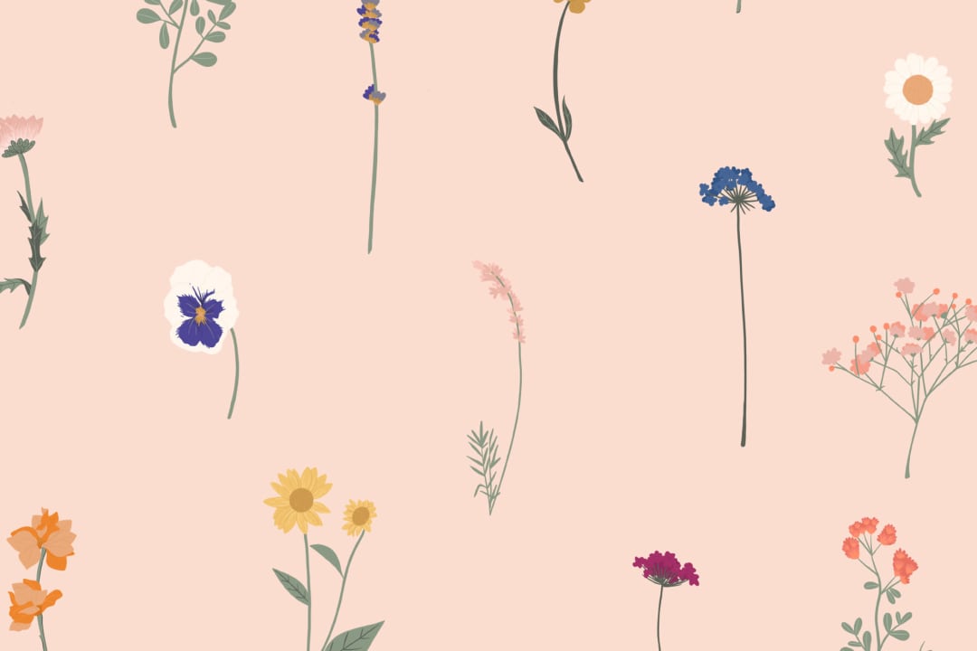 Pink Pressed Flower Repeat Pattern Wallpaper