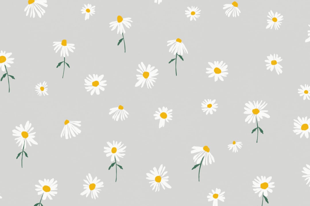 Light Grey Painted Daisy Repeat Pattern Wallpaper