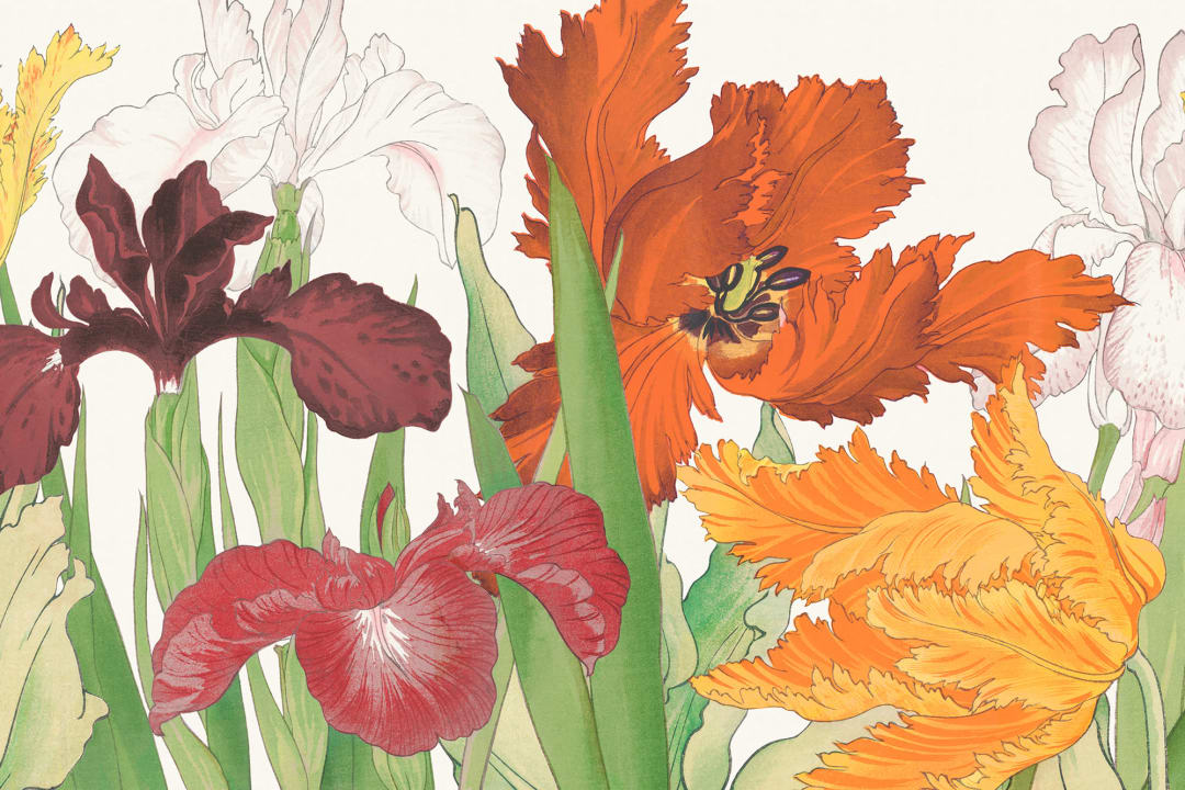 Tanigami Parrot Tulip & Iris Red Wallpaper Mural