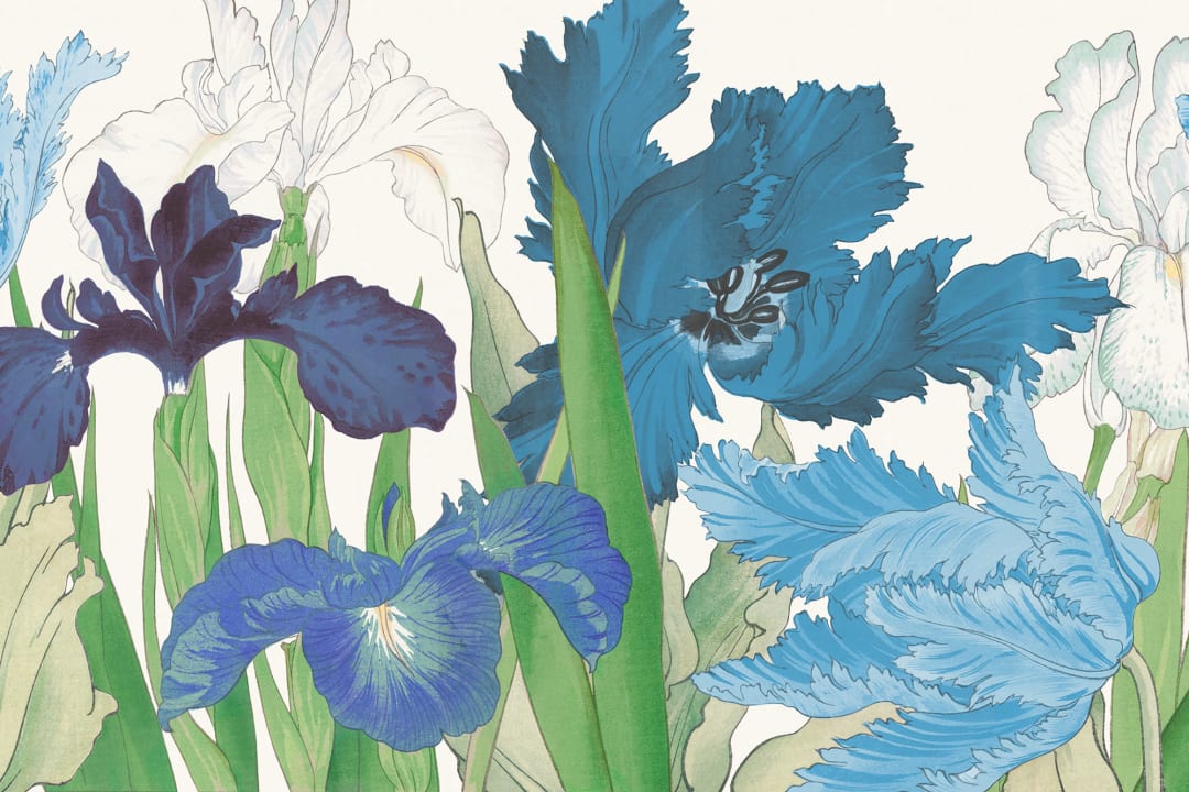 Tanigami Parrot Tulip & Iris Blue Wallpaper Mural
