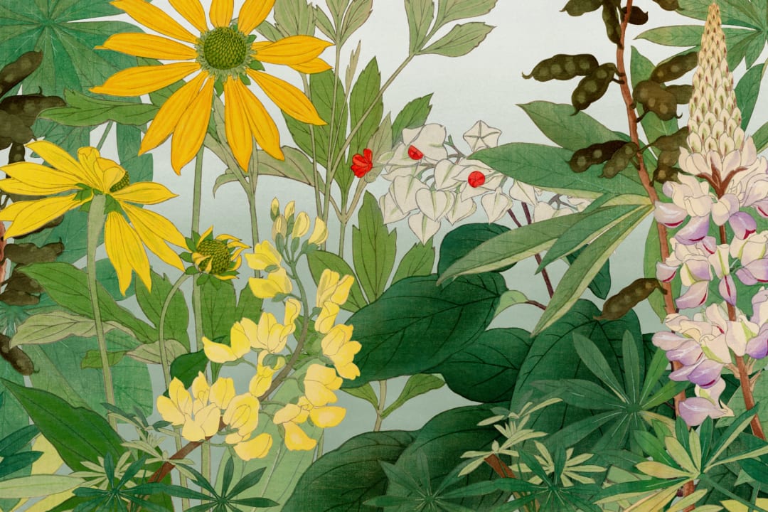 Lupin japansk akvarell blommig fototapet