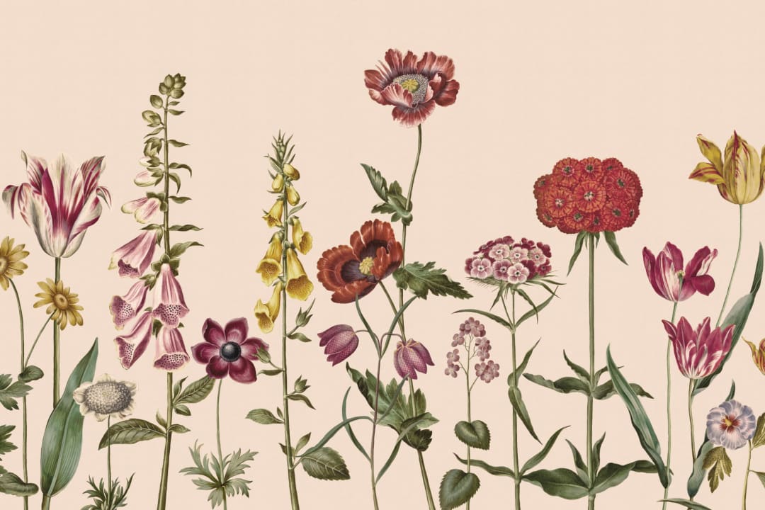 Beige Illustrated Wildflower Mural