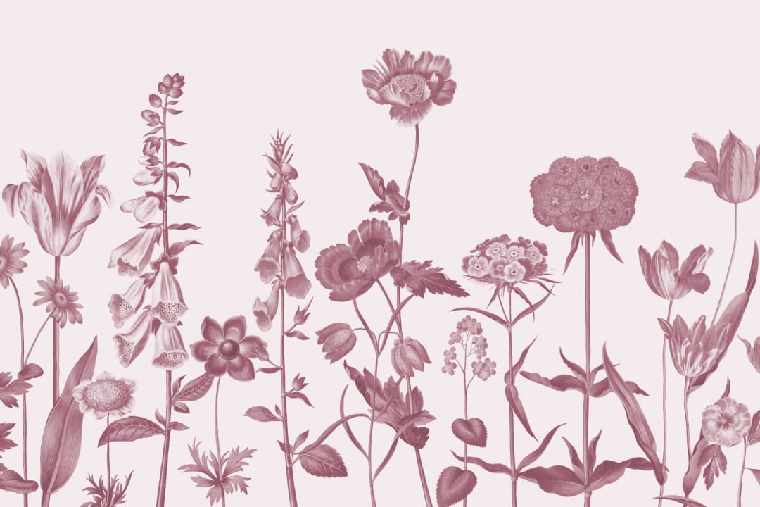 Pink Illustrated Wildflower Mural