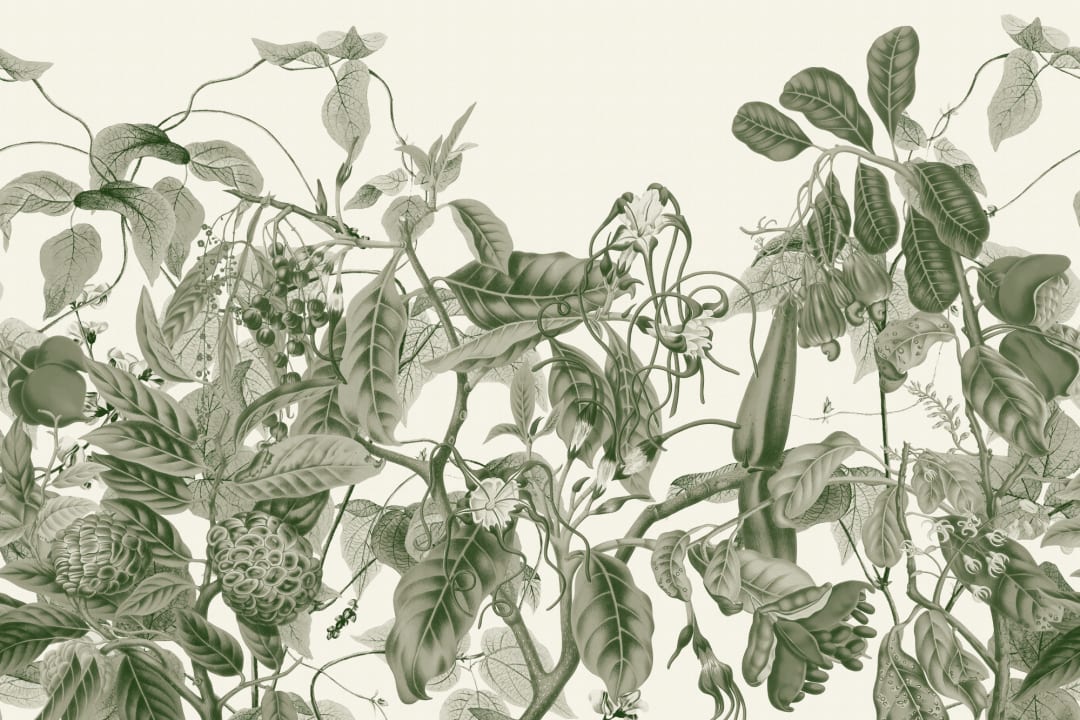 Lush Vintage Botanical Wall Mural in Green with Detailed Tropical Plant Illustrations