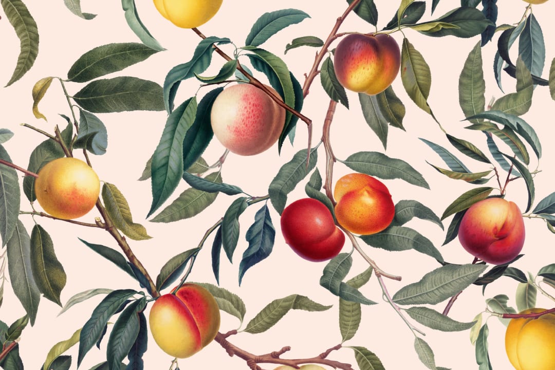 Kräm och grön vintage botanisk persika frukt upprepning mönster tapet