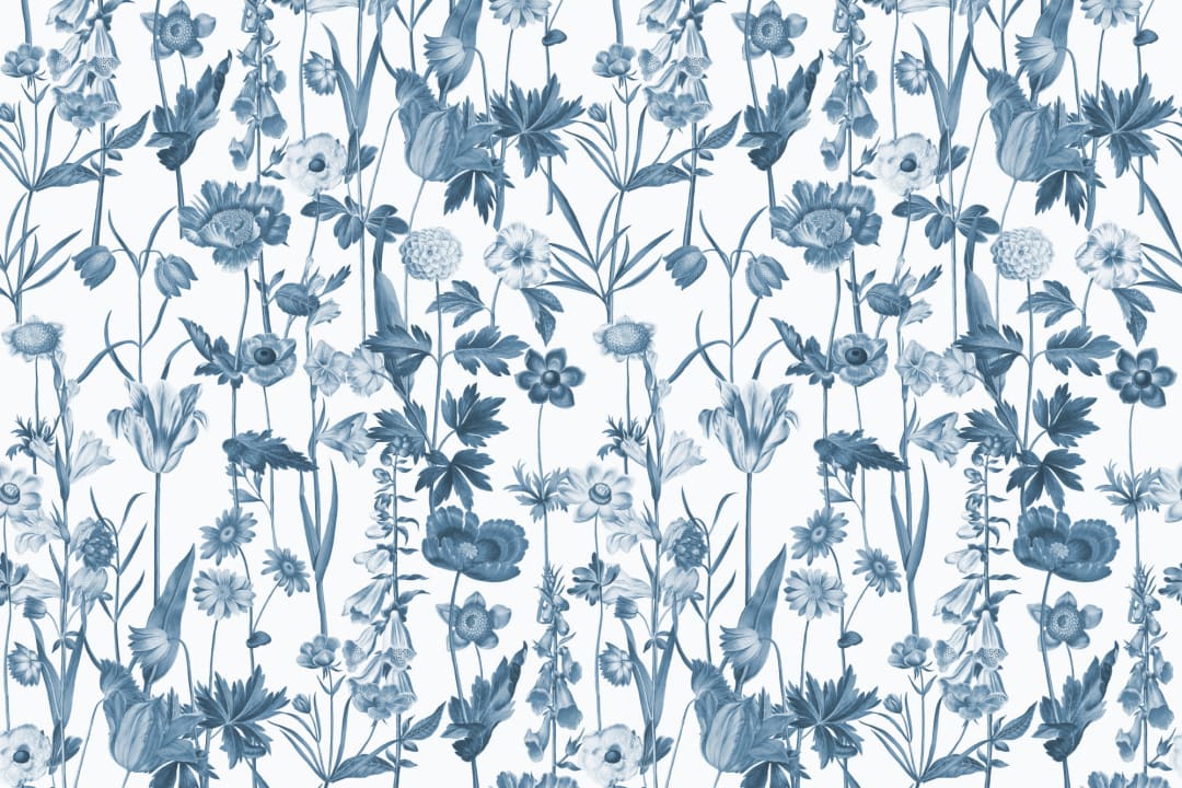 Blå och vit illustrerad vildblommatapet