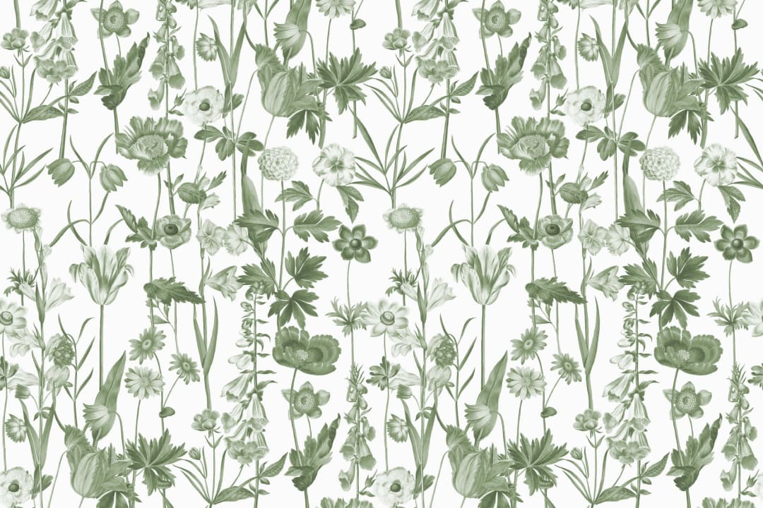 Vit illustrerad vildblomma tapet