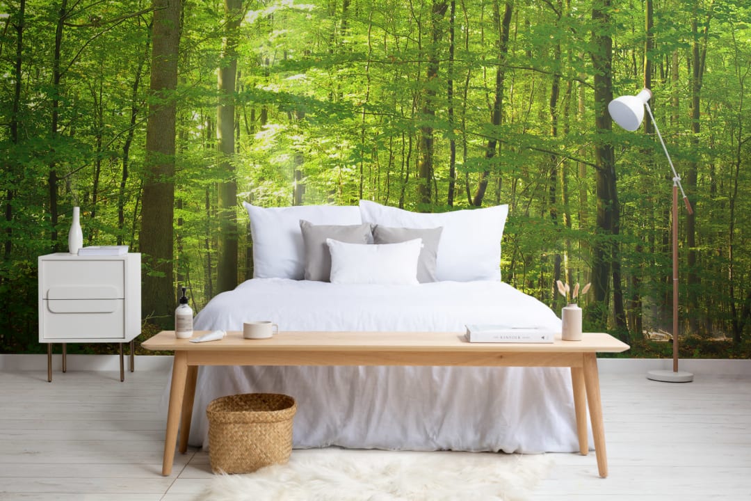 Green Light Forest Wallpaper Mural