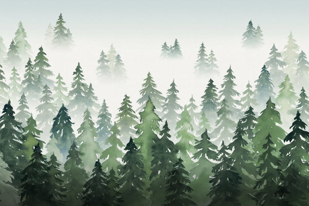 Green Watercolor Forest Tree Silhouette Wallpaper Mural