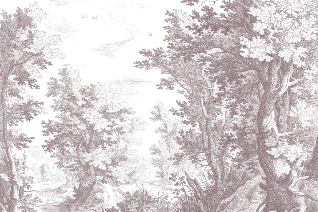 Minimal Gray Forest Illustration Etching Wallpaper Mural
