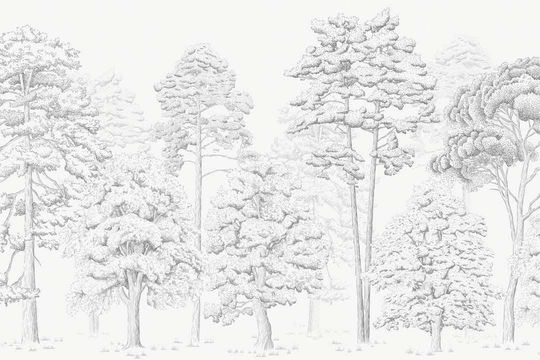 Gray Illustrated Forest Wallpaper Mural