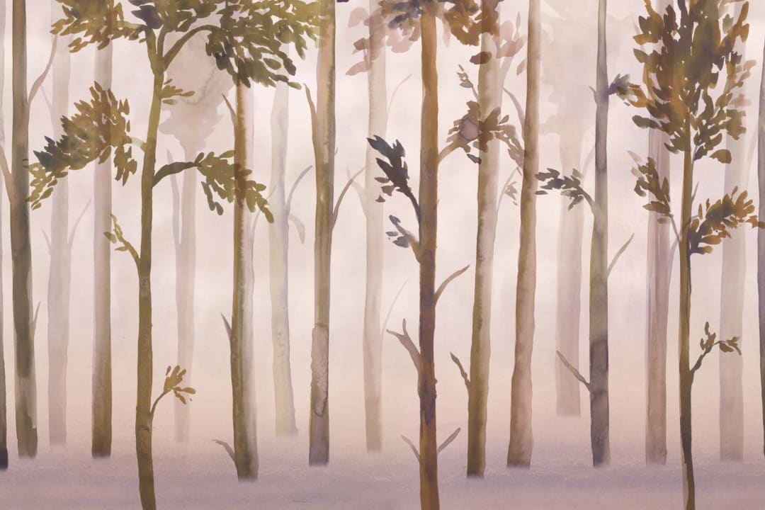 Mystic Watercolor Forest Wallpaper Mural