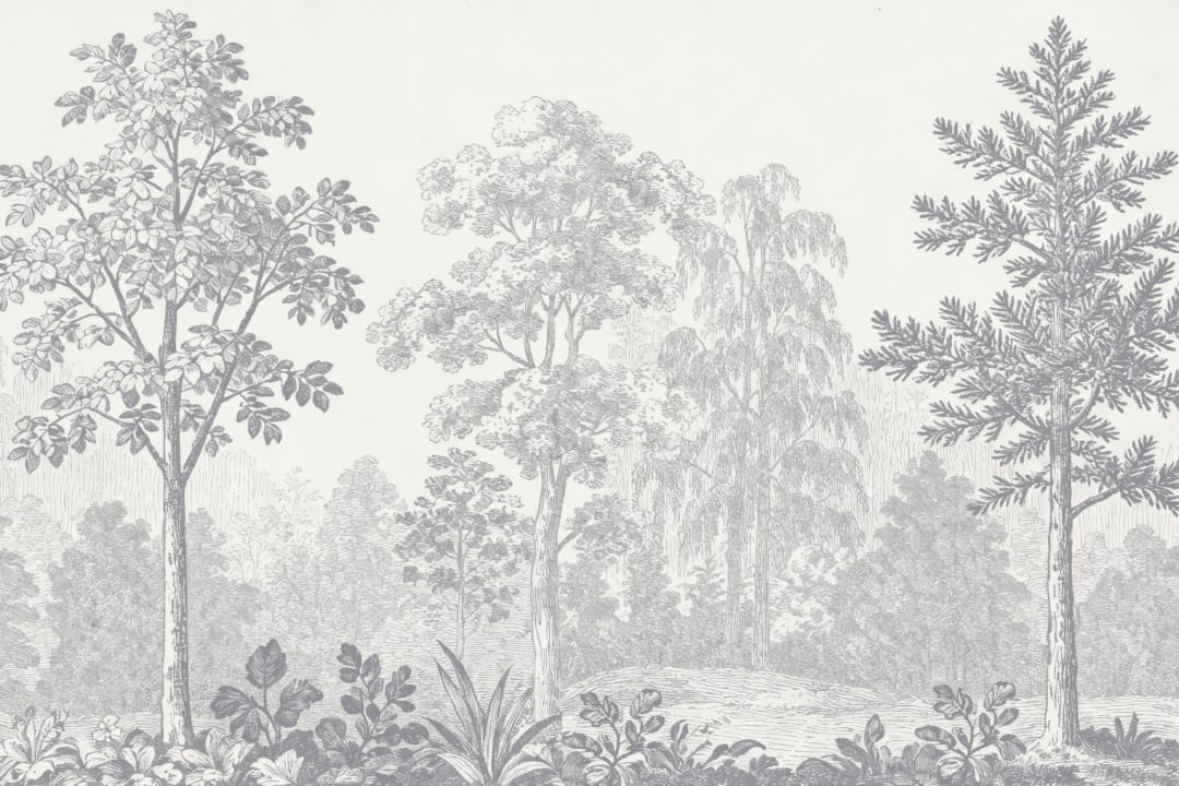 Grey Botanical Woodland Scene Nature Wall Mural