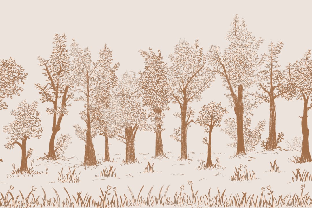 Brown ilustrat tradițional european Mural de pădure