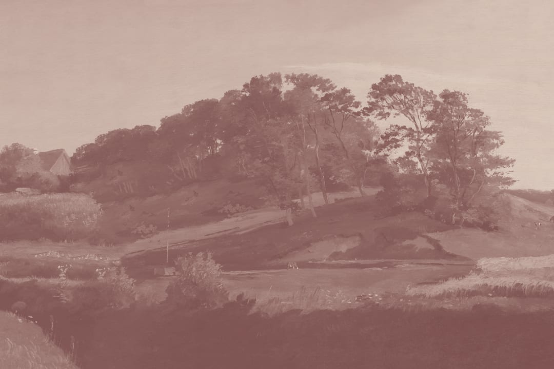 Roz danez Hills peisaj pictura murale