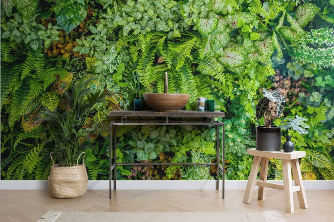 Plant Wall Leaf Wallpaper Mural