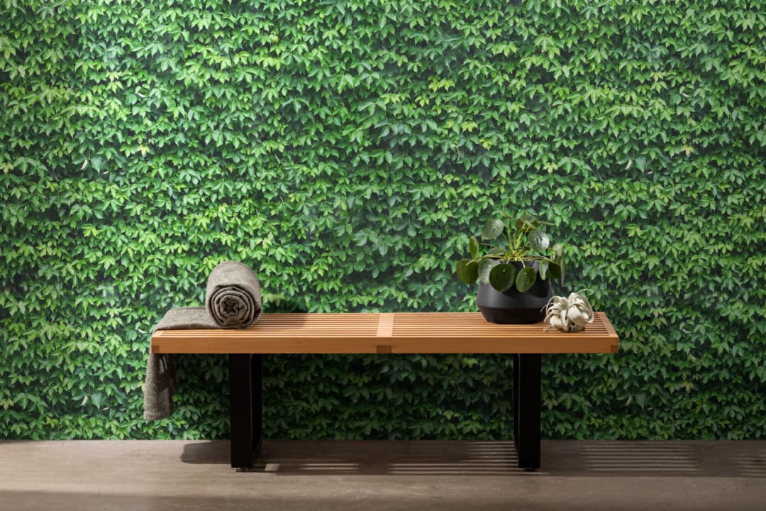 Wall of Green Ivy Wallpaper Mural