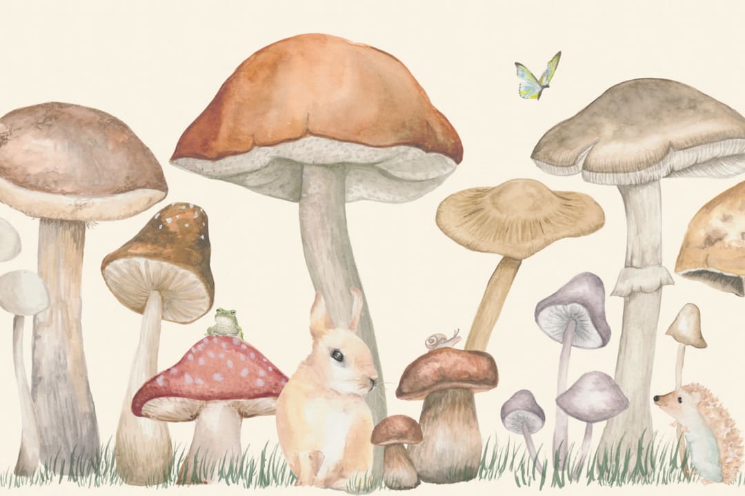 Mushrooms and Forest Animals Wallpaper Mural