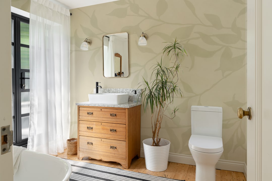Green Olive Tree Branch Mural