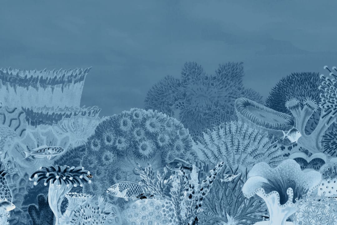 Navy Vintage Illustrations Coral Reef Mural
