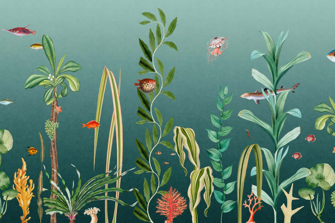 Teal Fish & Seaweed undervattens fototapet