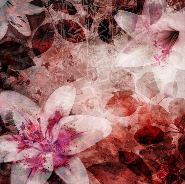 Mur de fleurs rouges avec oiseaux