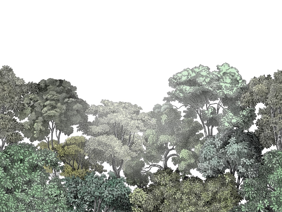Forest wallpaper for the home or public environment