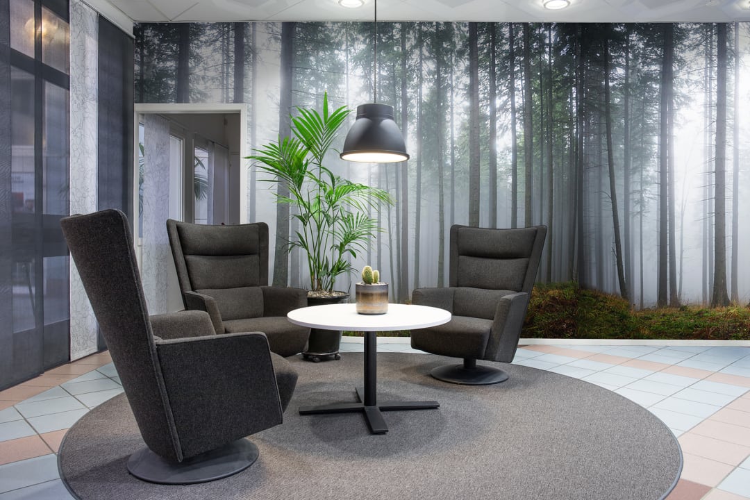 Décor panoramique Forêt Mystérieuse