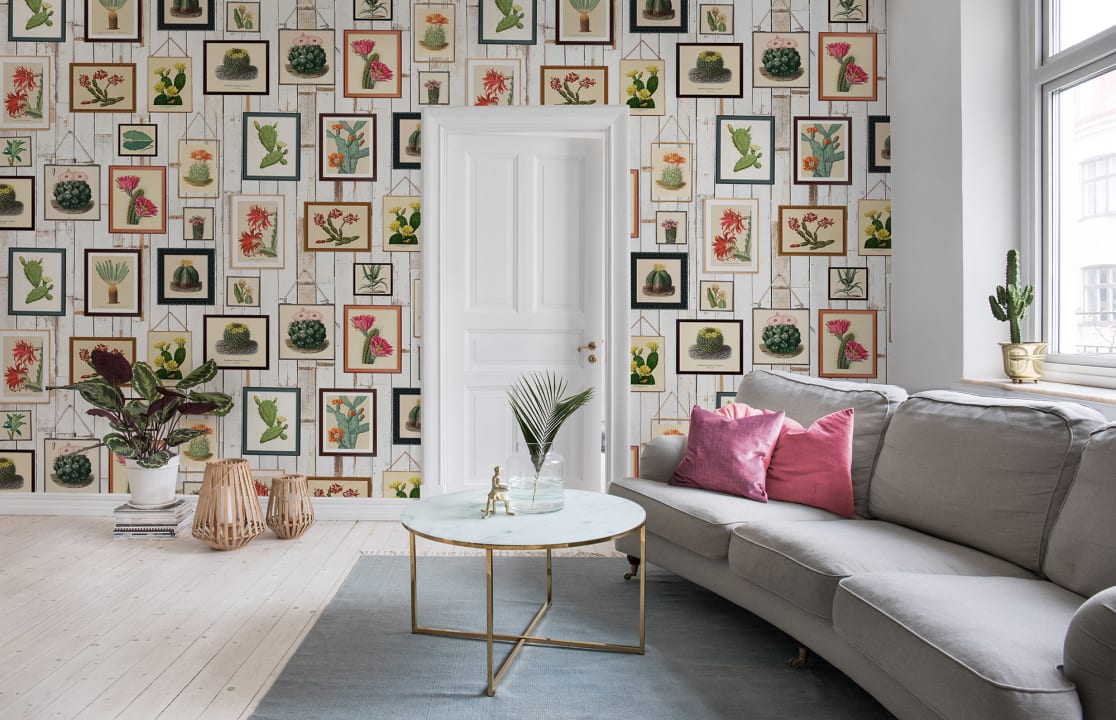 Votre propre collection de cactus… sur un décor panoramique