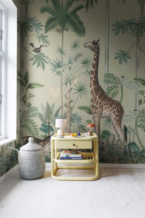 Giraffes Stroll, Sunny