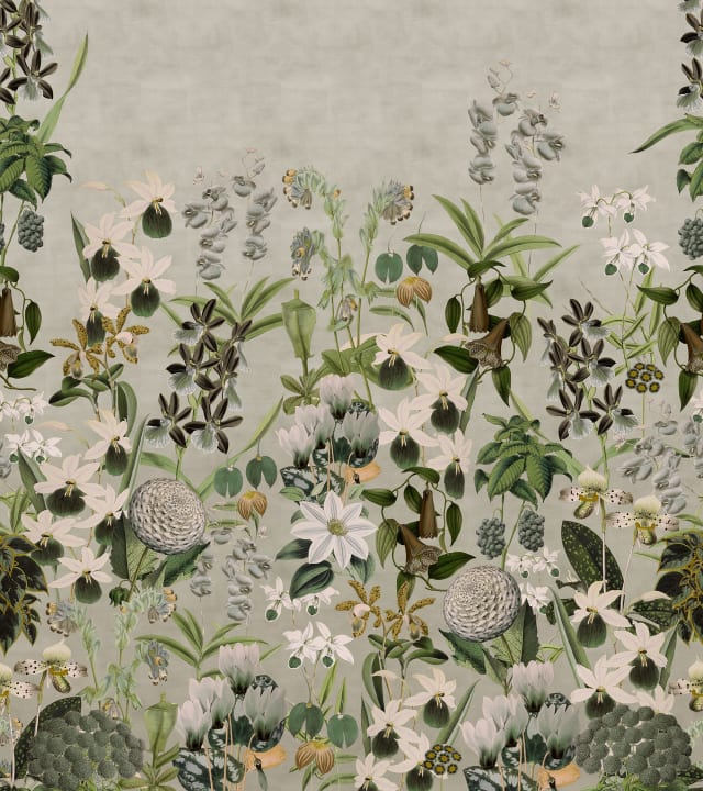 Tapet med vilda blommor i gråskala