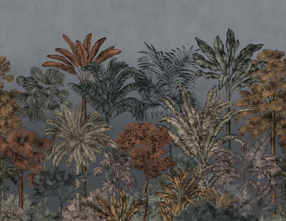 Tropical Bellewood, Night