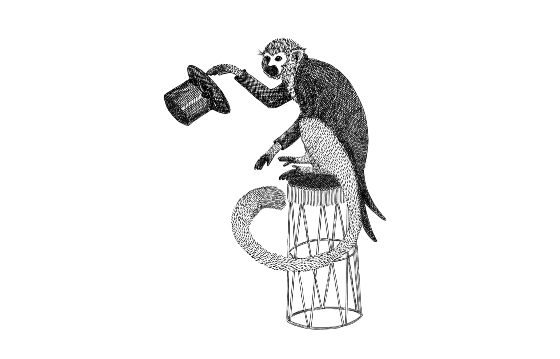 Circus Animal, Mr Monkey