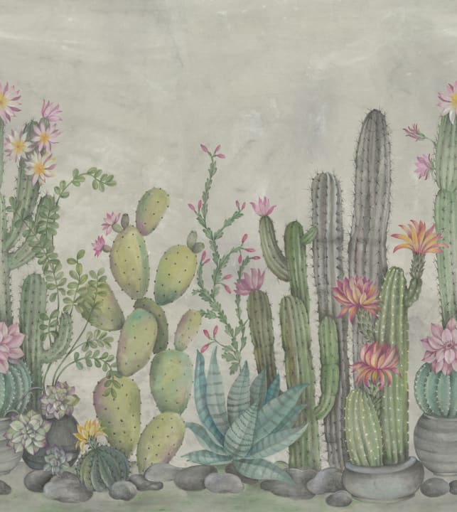 Playfull Cactus, Summer