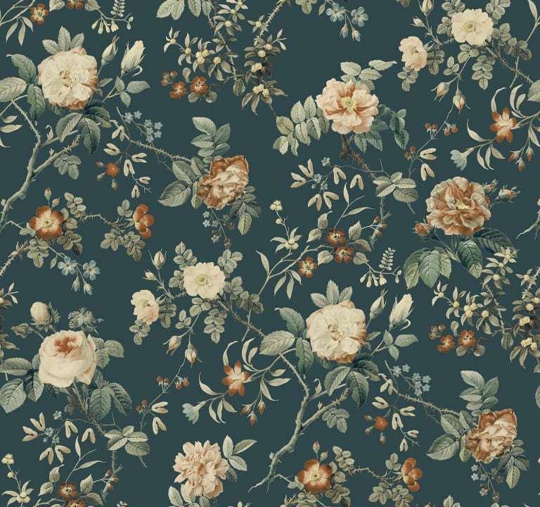 Thorn Rose Petite, Madame Hardy