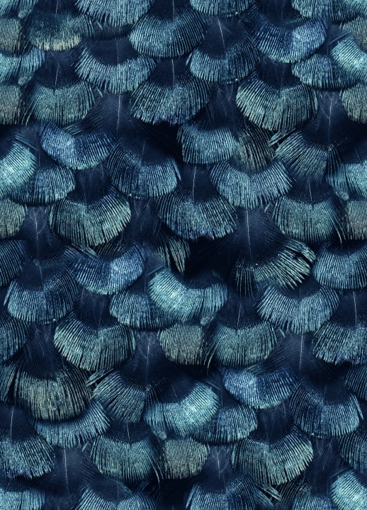 Petite Peacock Plumage, Teal