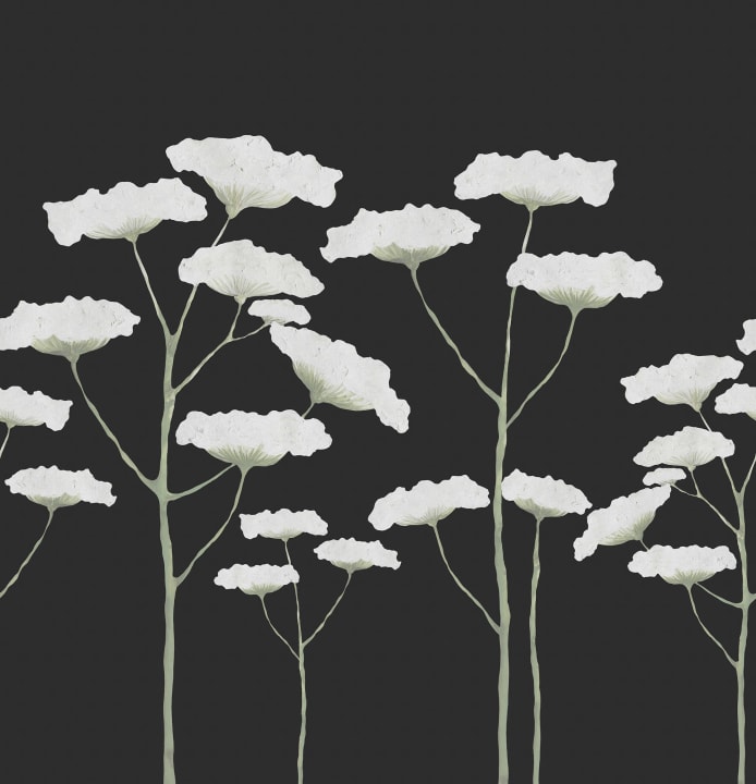 Hand-Painted, Common Hogweed