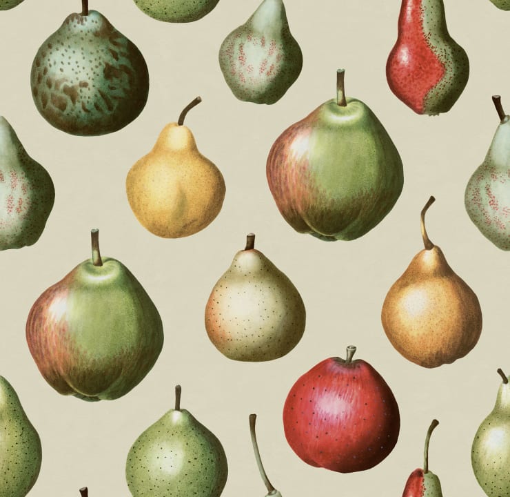 Vintage Peren