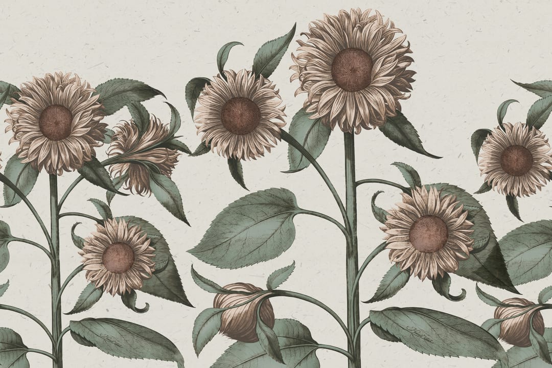 Tournesols vintage