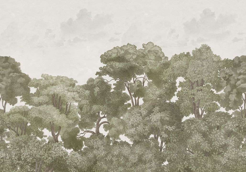 Foresta misteriosa