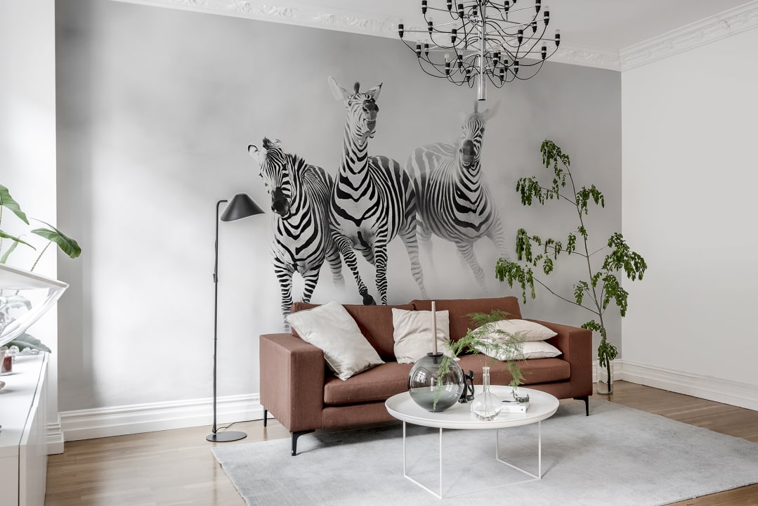 Graphic Zebras
