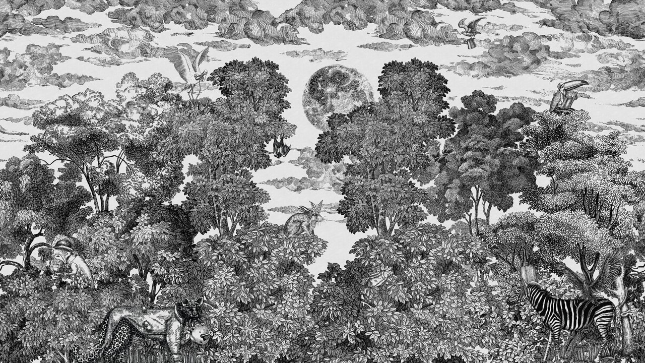 Bellewood Under The Moon, Graphite