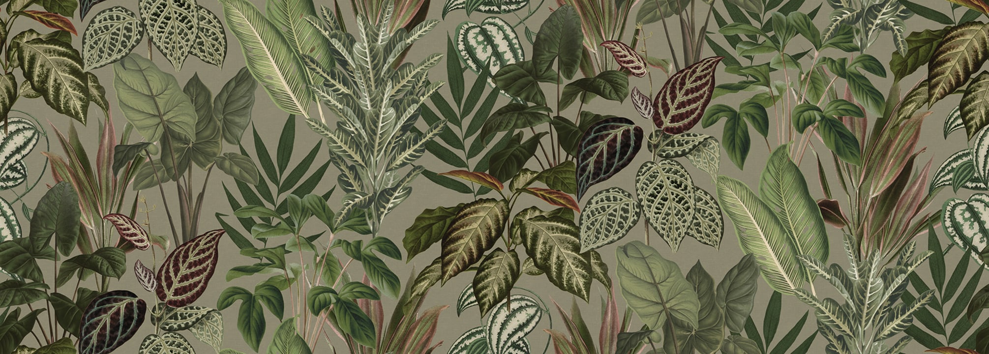 Mischievous Jungle, Sand