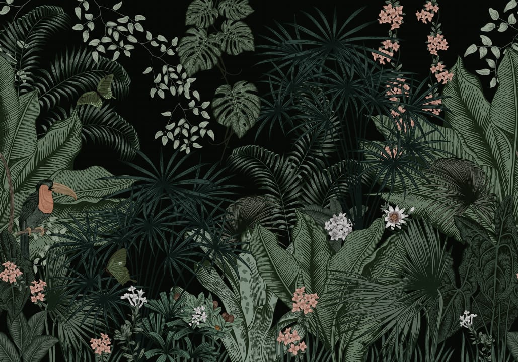 Nuits de la jungle