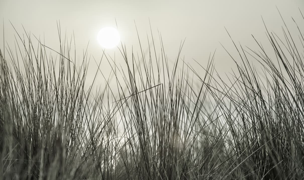 Un posto al sole